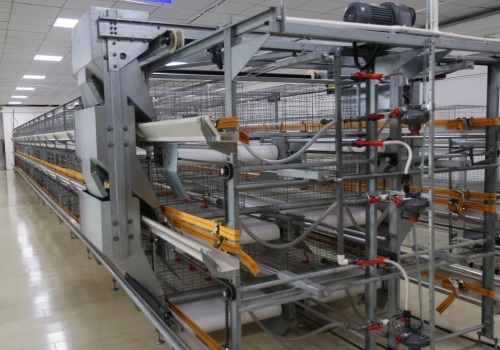 合眾達(dá)丨畜牧設(shè)備制造